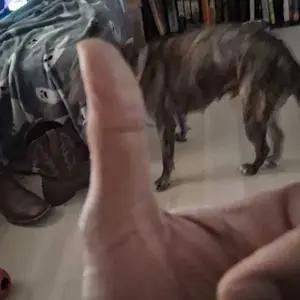 (gift)6Pcs Men Underwear Boxers Breathable Man Swimming Underpants Plus Size Print Mens Panties Trunks Sexy Men's Boxershorts Menswear Brief(Sports & Outdoor)