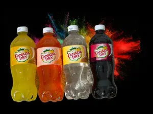 Canada Dry Soda 2-Pack 20oz | 4 Flavors | Refreshing Fizzy Drinks Ships from US by ALM