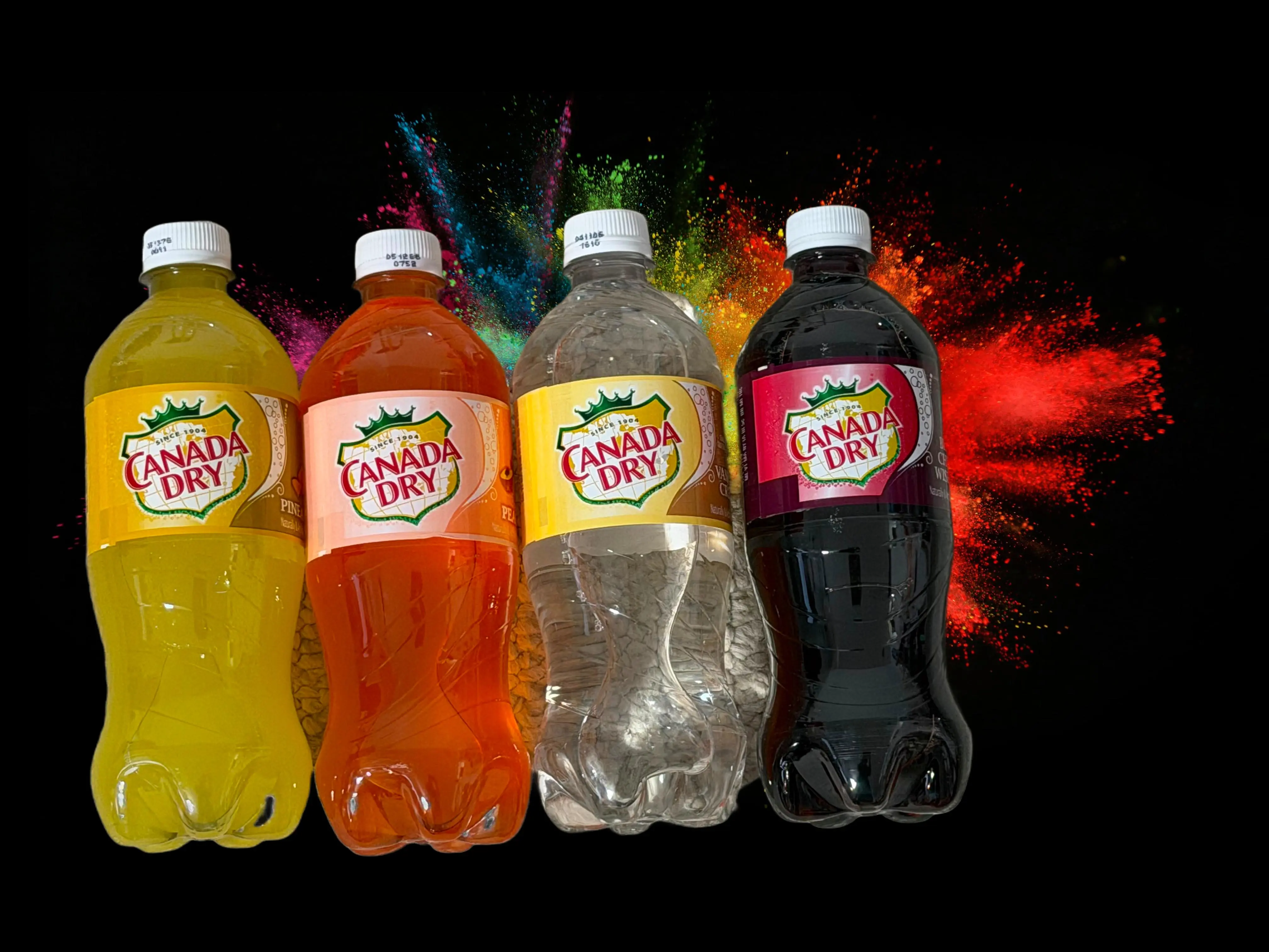 Canada Dry Soda 2-Pack 20oz | Peach, Pink, Black Cherry & Vanilla | 4 Flavor Variety | Caffeine Free