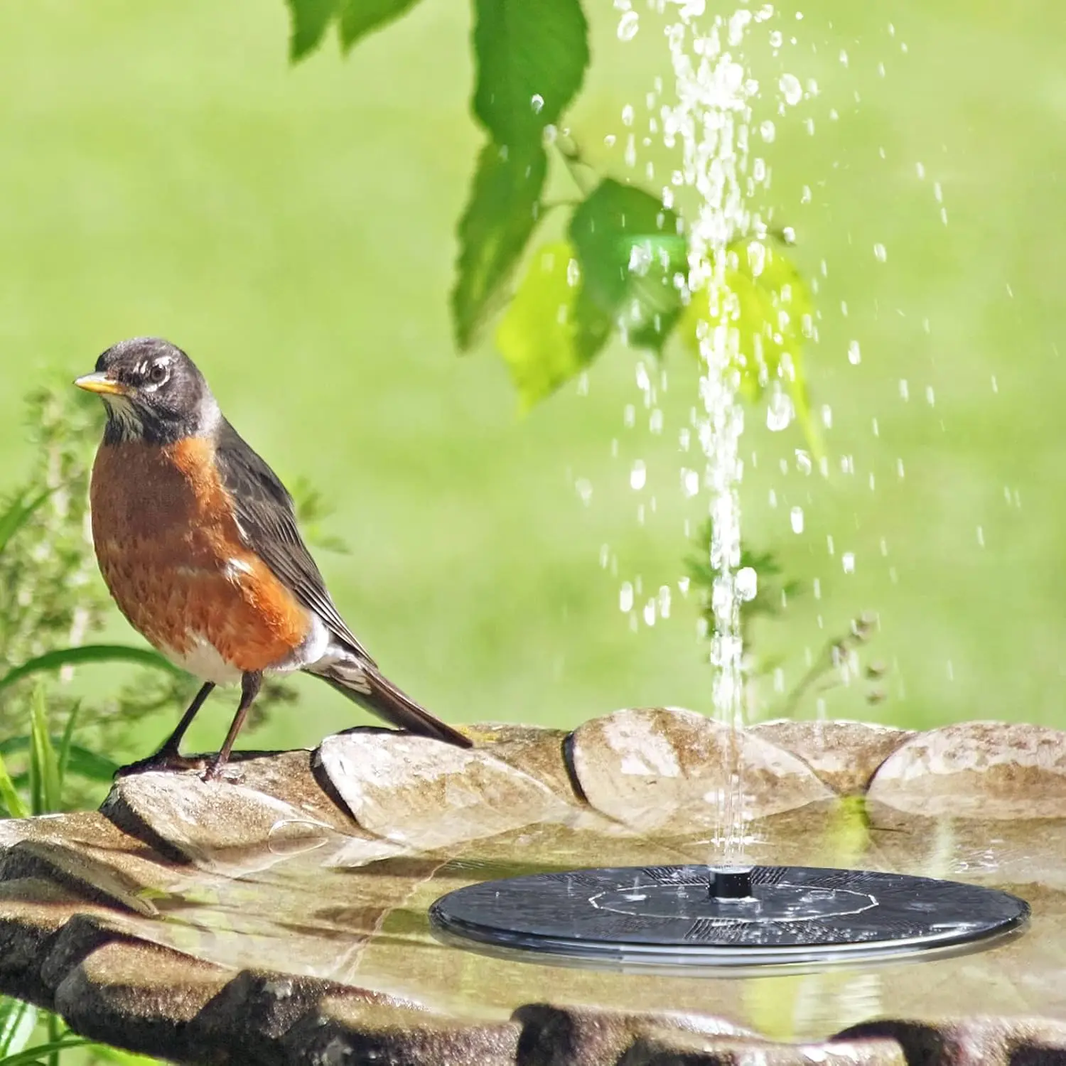 Solar Fountain Pump Set for Bird Bath, 2-Pack Floating Solar Water Feature, Floating Design Fountain, Outdoor Garden Decoration, No Battery Needed, Plastic Material, Solar Powered Fountain, Solar Birdbath Fountain, Garden Accessories