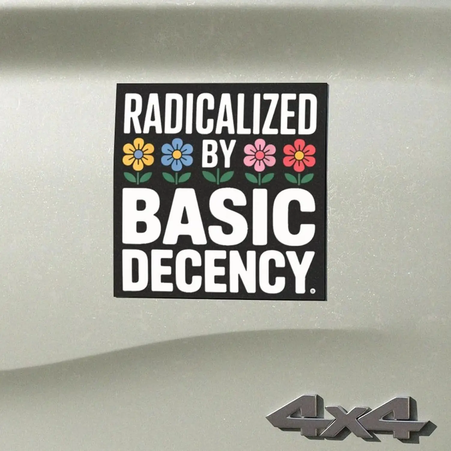 Radicalized By Basic Decency Anti Trump Car Magnet/Sticker, No Kings in America Sticker, Liberal Sticker, Basic Decency, Democracy Sticker