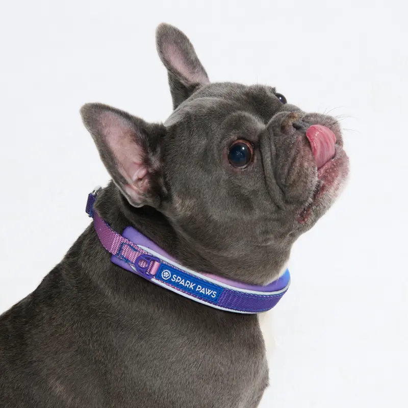 Spark Paws Martingale Dog Collar – Cushioned Slip-On Training Collar, Heavy Duty, Safety-Tested No-Buckle Collar for Medium & Large Dogs