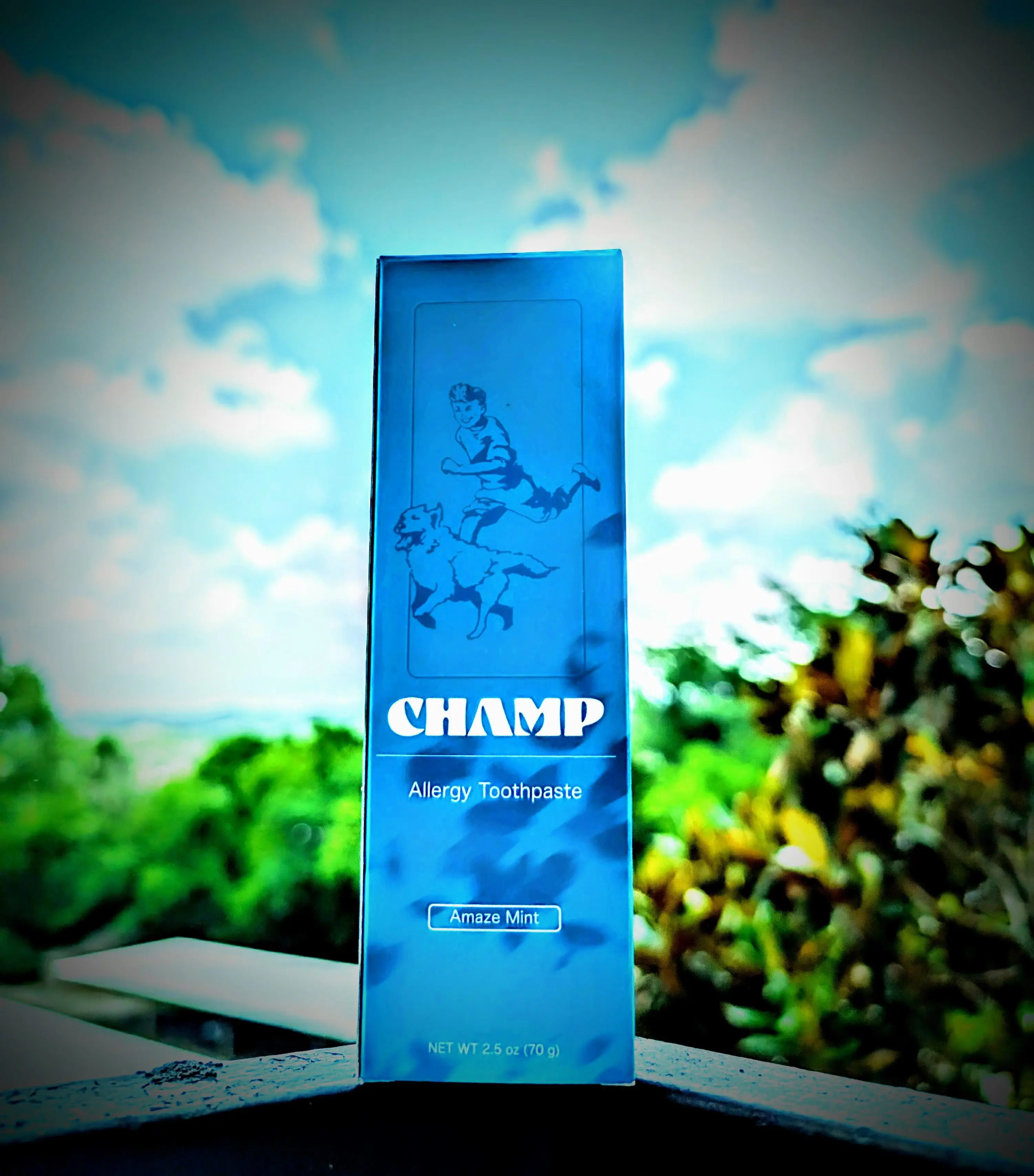 Champ Allergy Toothpaste - Allergy-Focused Formula for Oral Hygiene & Allergy Management - Natural Health Solutions by Champ Brand Dental Care