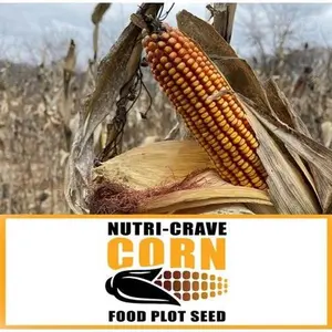 Real World's Nutri-Crave Corn Food Plot Seed - High Protein & Calorie Content for Deer Attraction - Non-GMO 15 lb Bag