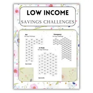 Summer Spring Gift Low Income Savings Challenges,no spend month | Effortlessly Reach Your Savings Goals: An Easy Way for Low Income , to Save with Budget and Savings Planner Book.
