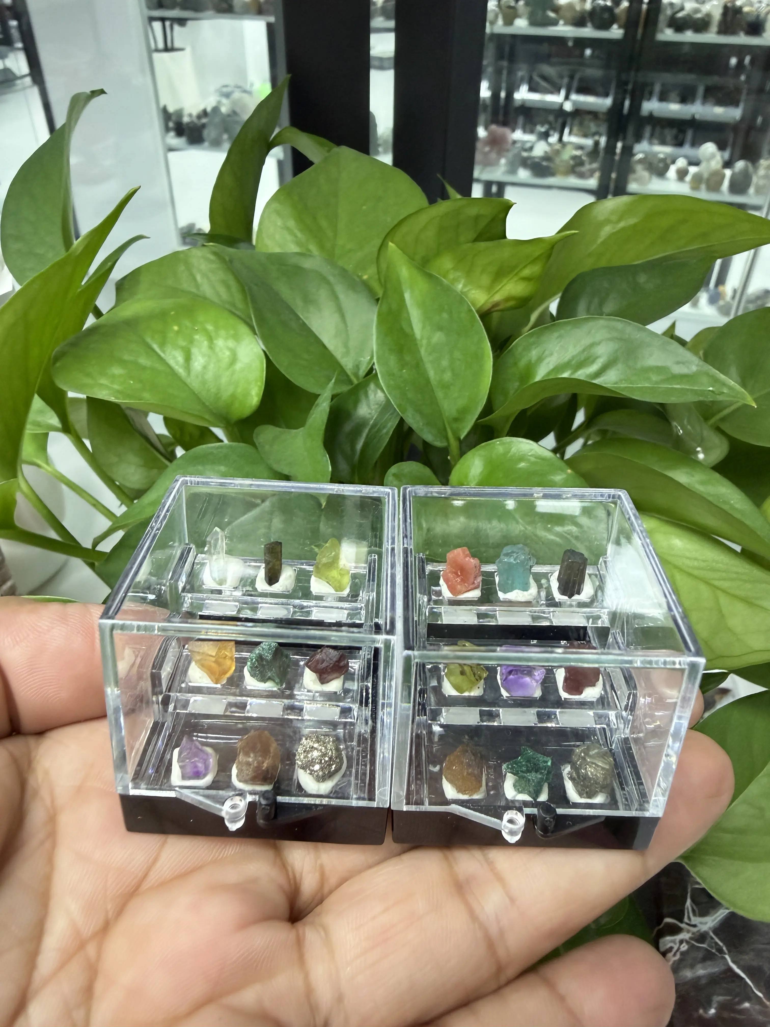 Mia(13472)gc.Small mineral specimen box with assorted natural crystal rough stones