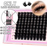 (Only lash)D Volume Lashes