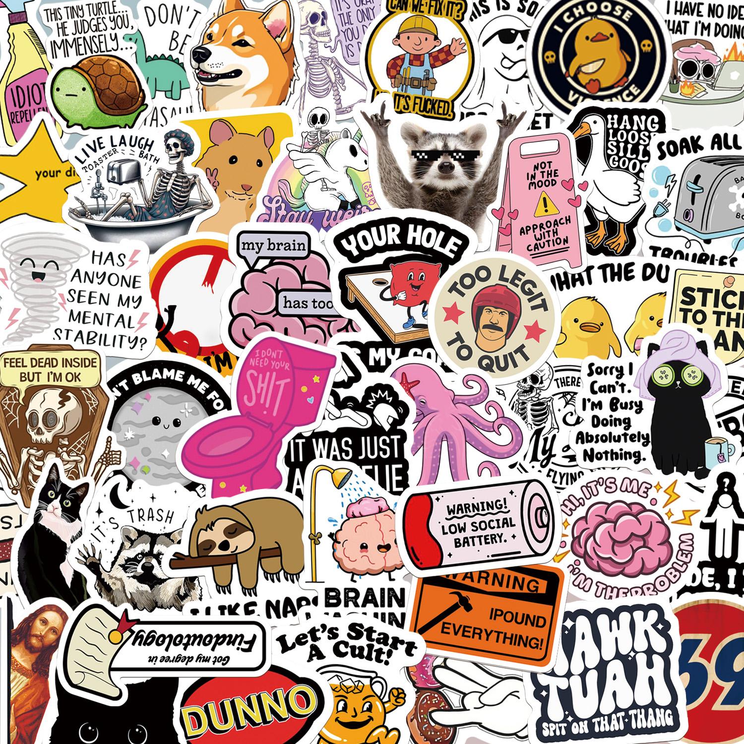 130 Pcs Funny Sarcastic Stickers Pack, Snarky Bold Humor Waterproof Vinyl Meme Stickers, Cute Decals for Laptop Water Bottle Phone iPad Bumper Folding Chair DIY Decor