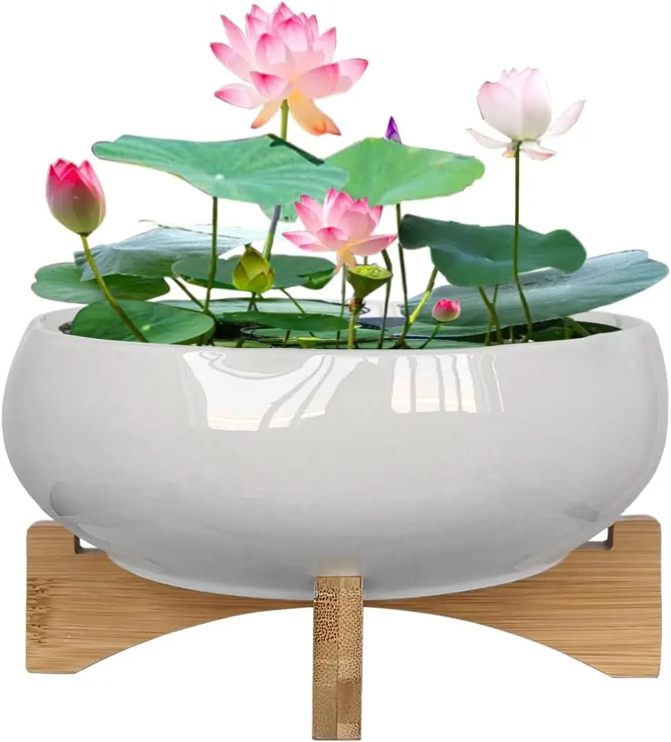 MUZHI White Ceramic Water Lotus Bowl Planter Pot with Bamboo Stand 7.8”, Lotus Shape Hydroponic Water Lily Flower Pot Planter No Drainage Hole