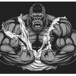 background preload poster image 