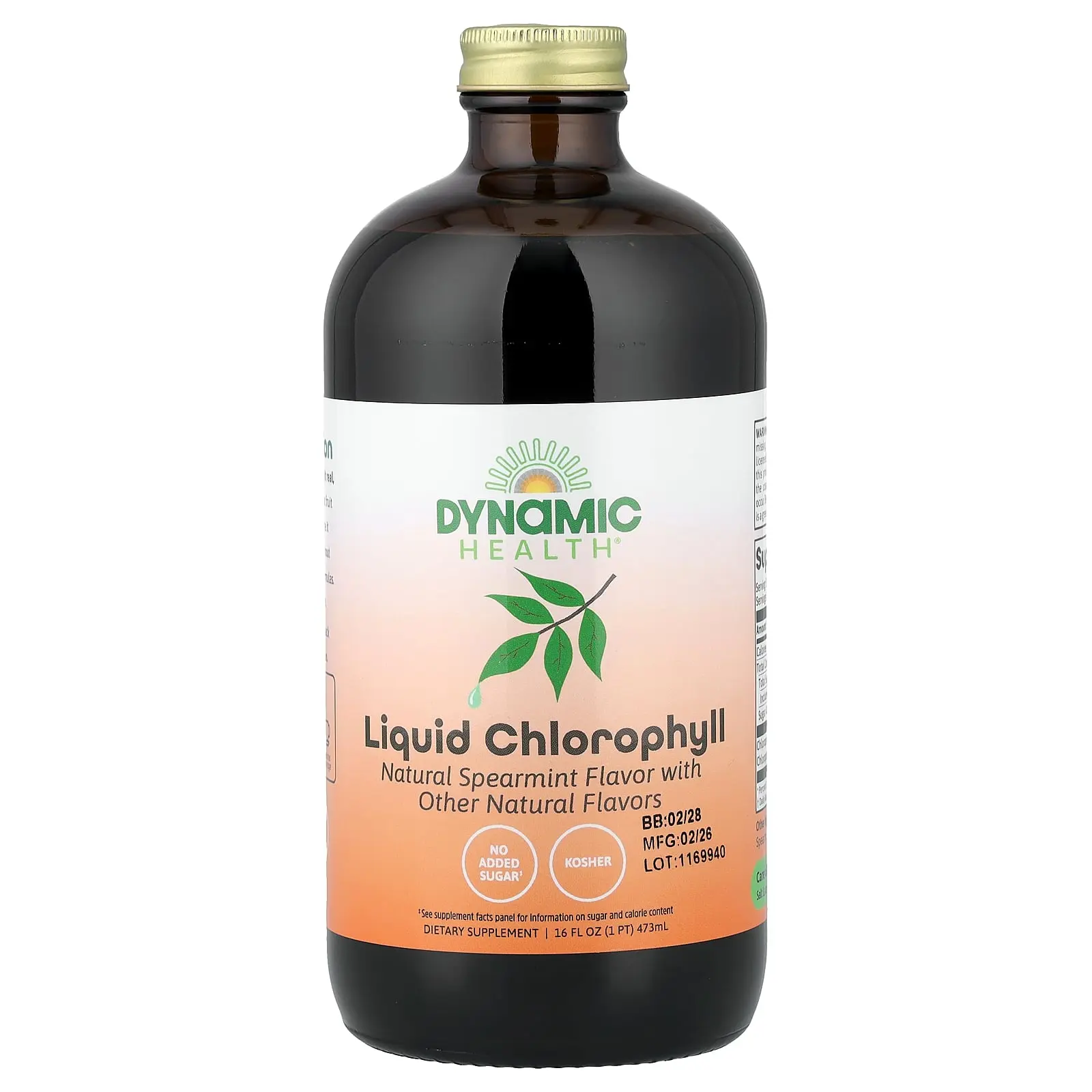 Dynamic Health Liquid Chlorophyll, Natural Spearmint, 16 fl oz (473 ml)