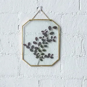 NCYP 8x10inches Glass Gold/ Rose Gold/ Black Floating Frame with Chain, for Pressed Flower, Photo, Picture, Home Wall Hanging Decor, Frame Only