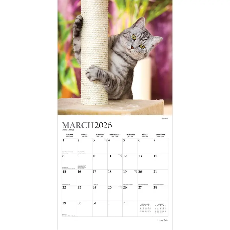 I Love Cats | 2026 12 x 24 Inch (Hanging) Monthly Square Wall Calendar | Foil Stamped Cover | Plato | Feline Kittens Pets 2
