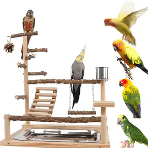 Wooden Parrot Play Stand Bird Playground with Feeder Cups for Cockatiel Parakeet