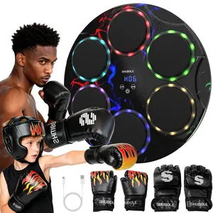 SHUBOLE Music Boxing Machine with Gloves - Wall Mounted Punching Trainer for Adults & Kids, 9-Speed Punch Game, Wall Boxing Punching pad, 2025 Upgrade Gifts for Boys Age 6+