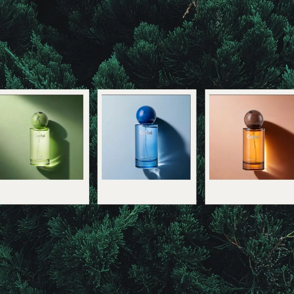Caché Fragrance | Bleu Suprême + Santalé + Salée Secret | Mint & Lemon Refresh | Eau De Parfum (3 x 1.7oz / 50ml)