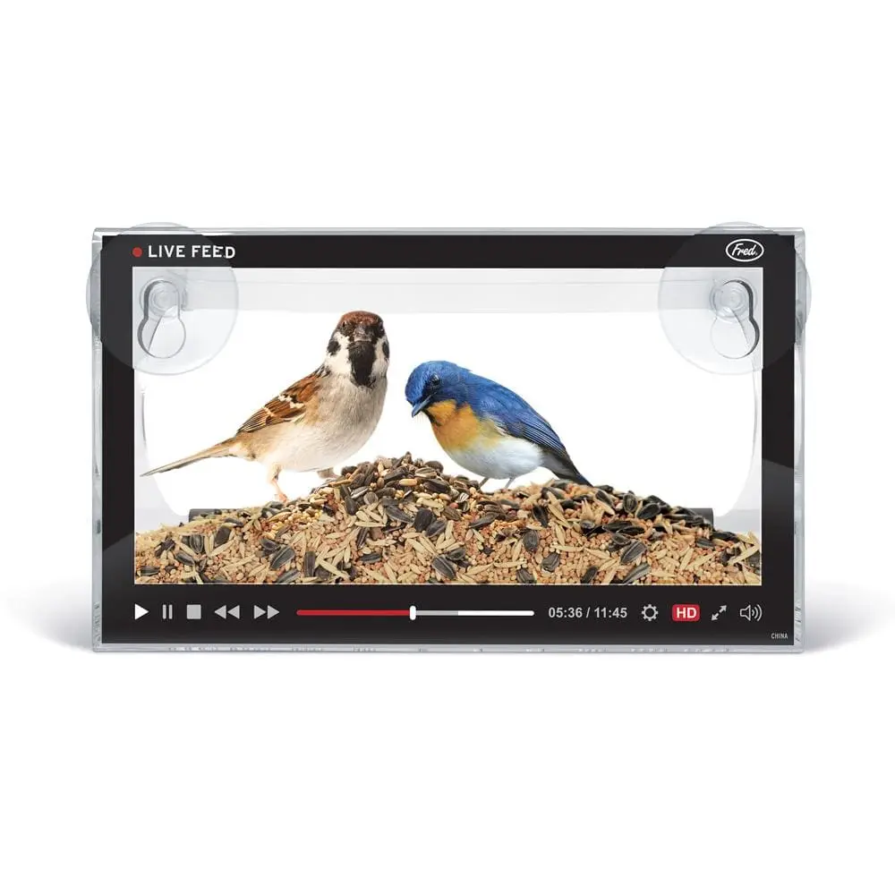 LIVE FEED Window Bird Feeder - Clear Acrylic "Video Player" Design - Pet and Human Entertainment