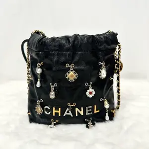 Pre-owned CHANEL 22 Mini Bag | Limited Edition, Jewelry Charm, Microchip | N21659678