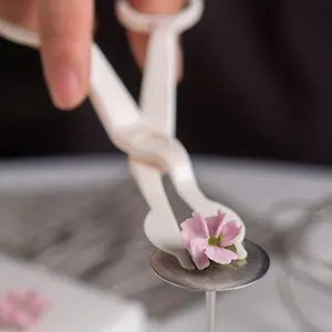 2pcs Baking Cake Piping Nail DIY Cream Piping Shears Transfer Tool Embossing Tool Fondant Cake Scissors Icing Scissors Cake Decorating Scissors Cream Flower Transfer Tool Flower Cream Scissors, Baking Tools, Kitchen Gadgets