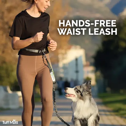 ‍ Hands-Free Dog Leash for Walking & Running | Tuff Mutt Bungee + Reflective Waist Belt