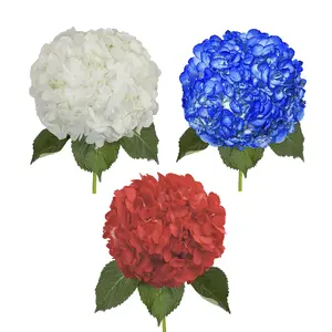 Painted Hydrangea Patriotic Assorted Box