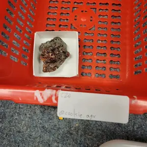 Lychee Gems Crystal-2A4 Live Claim or Intuitive Crystal Bundle Unique Gift for Any Occasion Thoughtful Selection by Lychee Team Personal Significance Distinctive Present