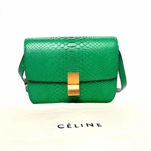 Pre-owned Celine Classic Box Handbag, Green Exotic Leather, Style No. 18954252hd