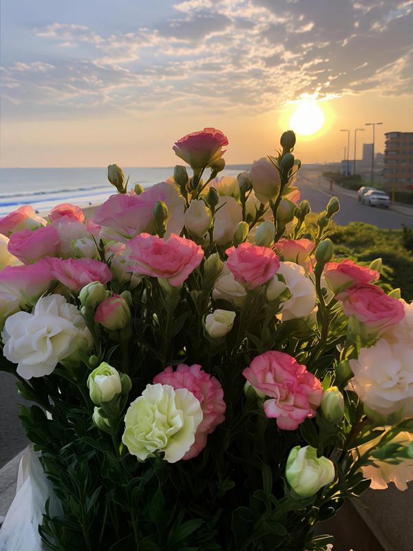 1000 Lisianthus Seeds - Mixed Color Perennial Lisianthus Seeds, Thornless Rose Seeds, Good for Planting, Wildflowers, Non-GMO, Gardens, Indoor Flowers