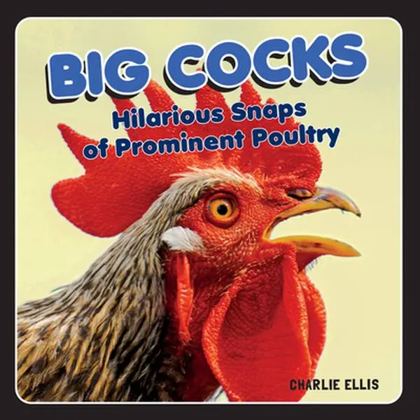 USED-Big Cocks: Hilarious Snaps of Prominent Poultry by Ellis, Charlie (Hardcover)