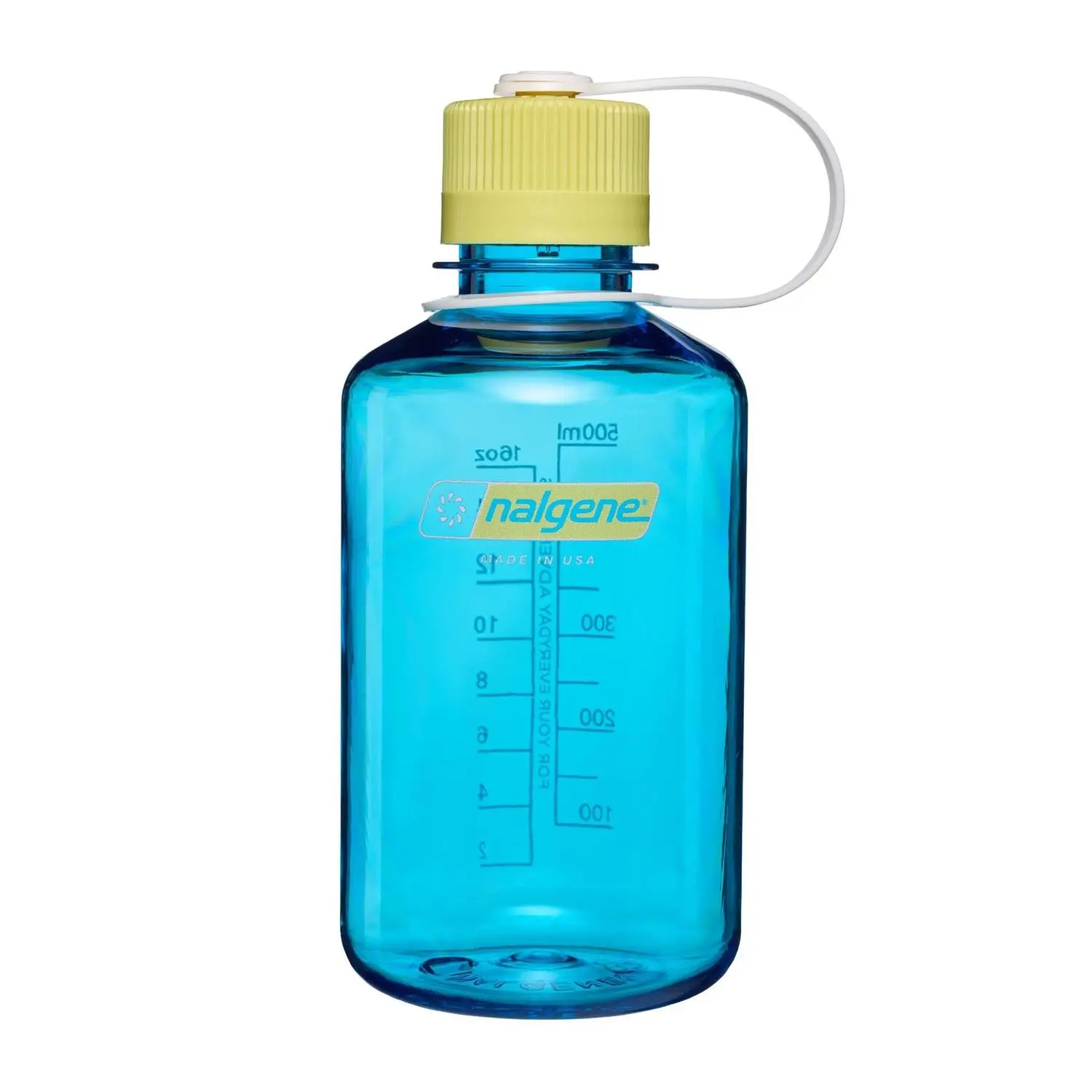 Blue Atoll with Endive