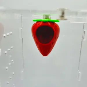 Strawberry Magnetic Ceiling Pod Hide | Jumping Spider