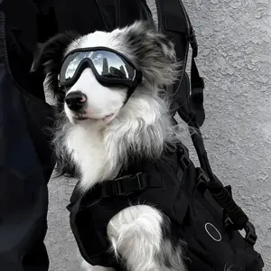 Dog Sun Glasses for Medium to Large Dogs, Transparent Windproof Dustproof Snow Pet Eyewear with Elastic Band, Stylish Dog Accessories