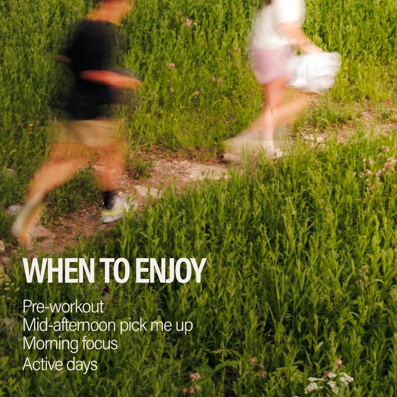 GURU ZERO SUGAR Organic Energy Drinks Variety Pack, Clean Energy Beverage with Plant Based Natural Caffeine from Green Tea, Coconut Water, Prebiotic, Zero Added sugars, Gluten Free and Vegan, Pre Workout, Healthy Drinks, 12oz (Pack of 12)