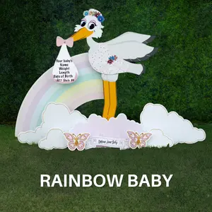 Rainbow Baby Stork Rental | Girl