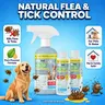 BugMD Flea and Tick Spray for Dogs and Cats – Kills & Repels on Contact – Plant-Powered Flea Treatment for Home, Furniture & Carpet | Makes 32 oz