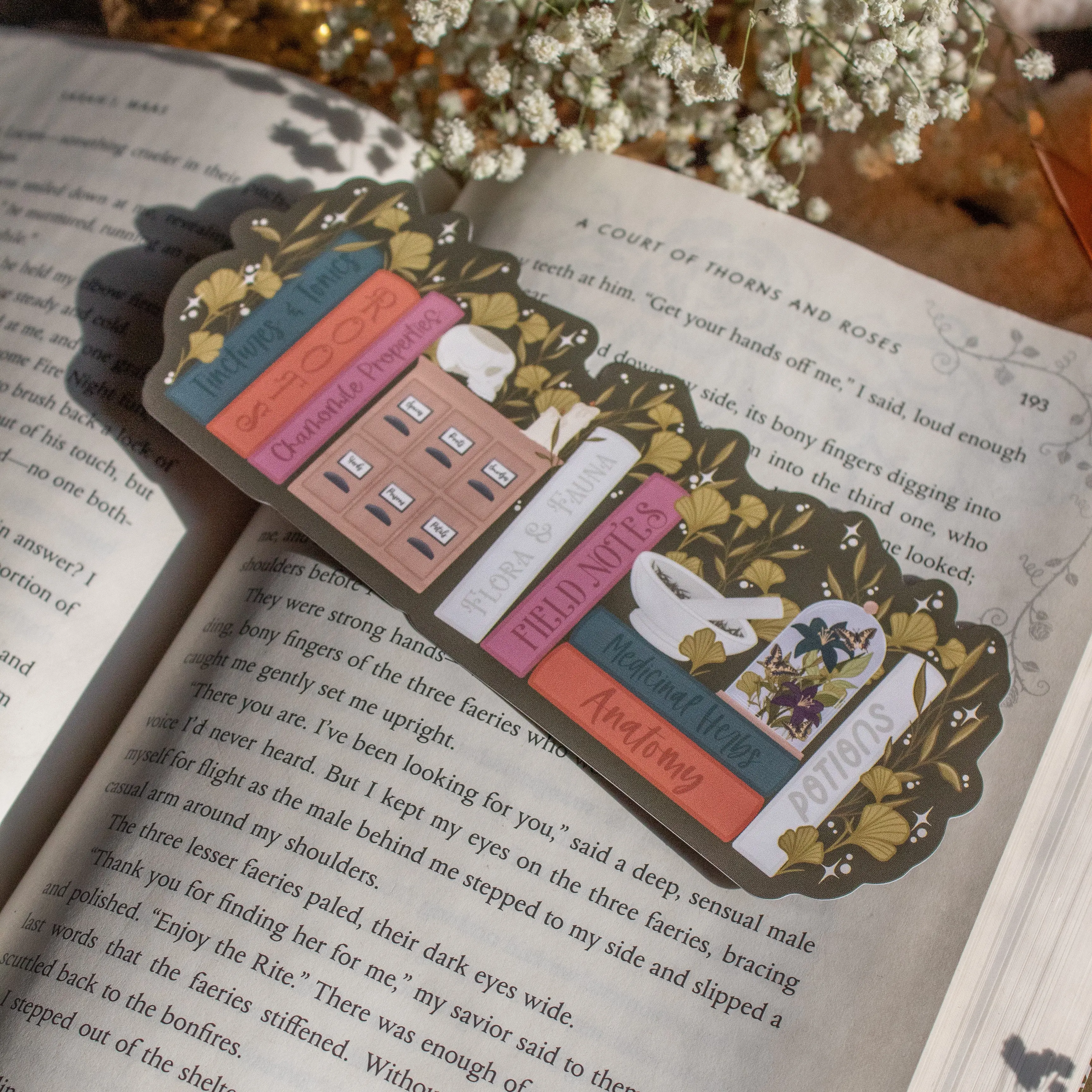 Apothecary Bookshelf Bookmark for Fantasy and Dark Academia Booktok Readers