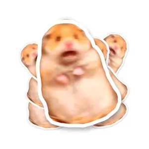 Scared Hamster Meme Sticker, Meme Sticker, Funny Sticker, Scared Hamster Meme, Funny Bumper Sticker, Hamster Facetime Meme