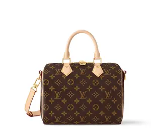 Pre-owned Louis Vuitton Monogram Speedy 25 Chip Version