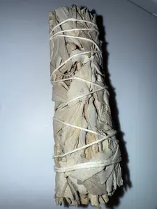 White Sage