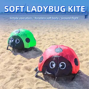 Paradise Bird Ladybird Kite Ground Kite Can Walk on the Ground Animal Kite Insect Kite Outdoor Sport Outdoor Toy for Children