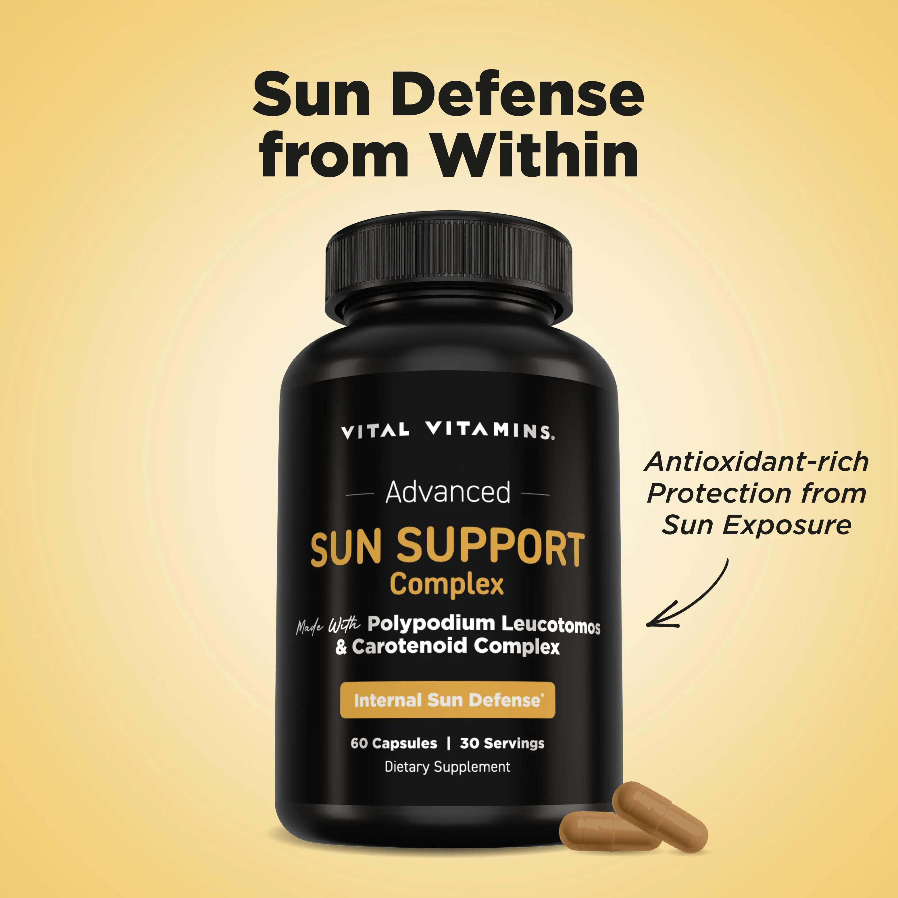 Sun Support Complex Sun Support Complex