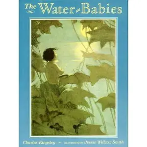 USED-The Water-Babies (Books of Wonder) by Charles Kingsley (Hardcover)