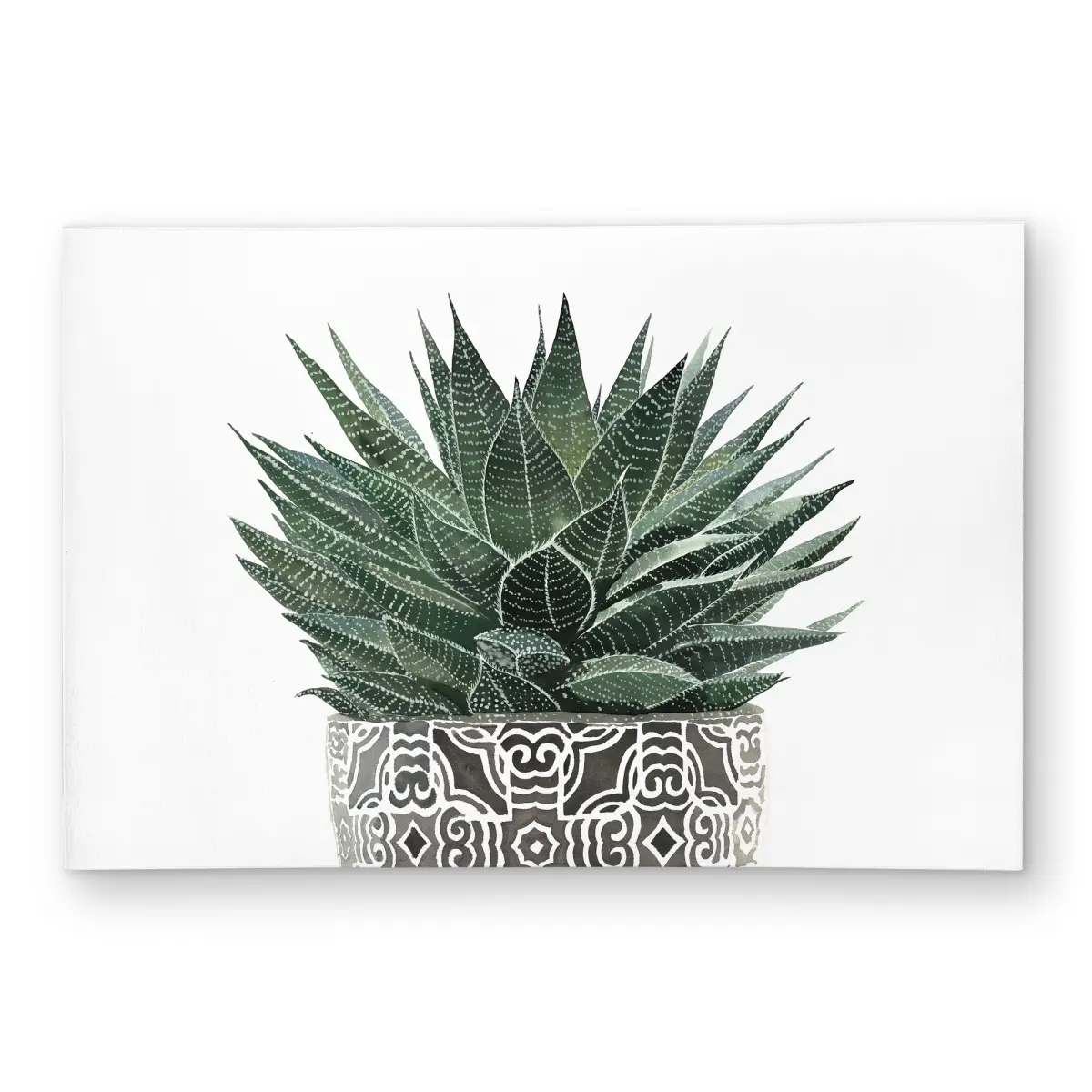 360 stand Fluffy Modern 4x6 ft Rectangular Zebra Succulent Rug - Home Decor Rugs, Zebra Plant & Cactus Themed Living Room Textile, Fluffy Modern Rug