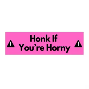 "Honk If You're Horny" Vinyl Bumper Sticker (Pink w Black Letters)