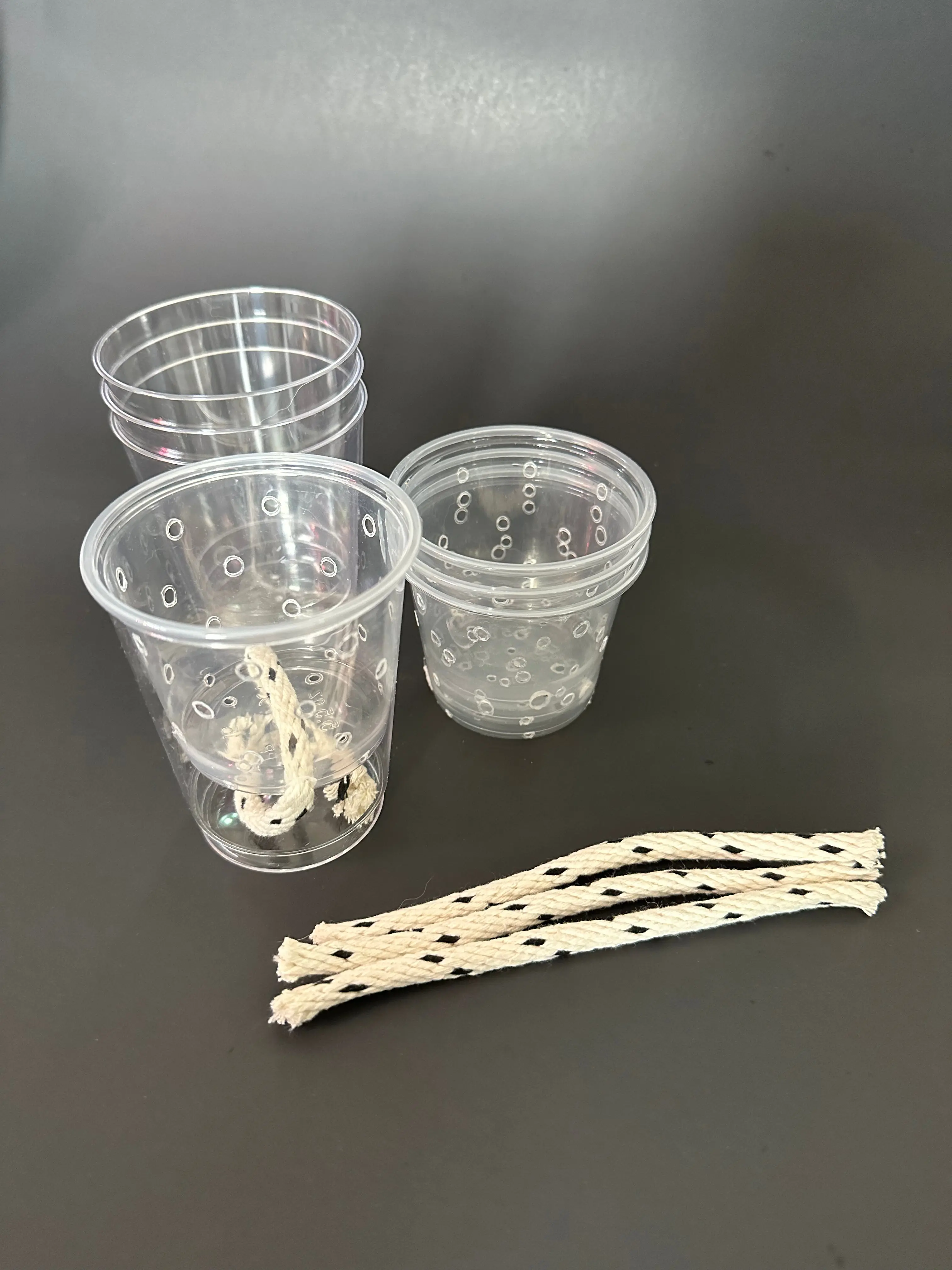 Mini Clear Self Watering Pots Mini Clear Self Watering Pots