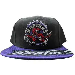 Mitchell & Ness NBA Toronto Raptors Black/Royal Snapshot HWC Snapback