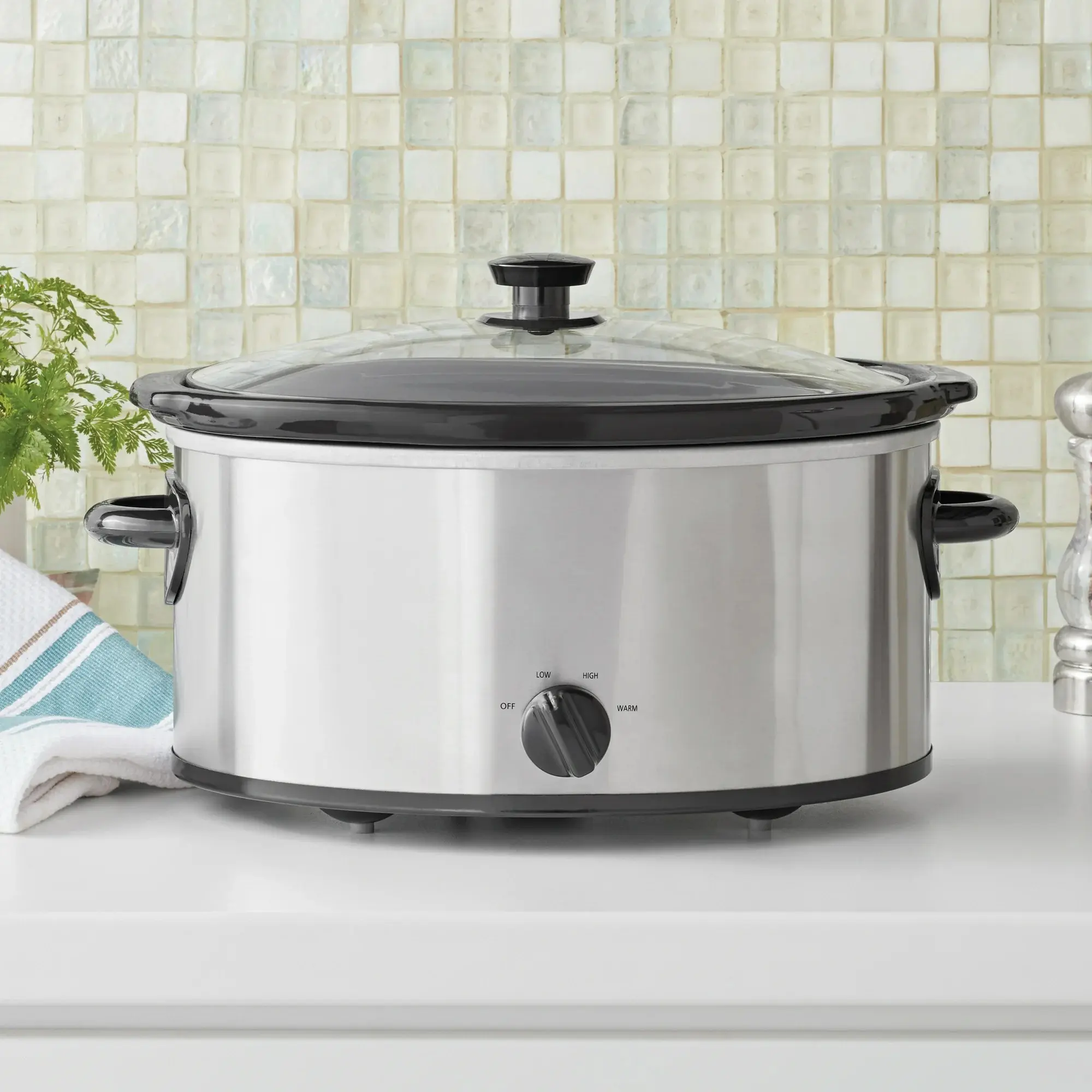 6 Qt Oval Stainless Steel Slow Cooker - Glass Lid, Dishwasher Safe Insert, Kitchen Cooking Pot for Family Meals, Meats, Soups