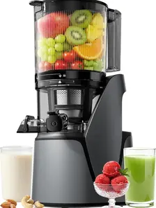 EanOruus Juicer Machines, 3-in-1 Cold Press Juicer with 6.5" Extra Large Chute, 100oz Large Capacity, AC Motor, Makes Juice, Nut Milk & Sorbet, Premium Gray