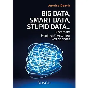 USED Book - Big Data, Smart Data, Stupid Data... comment (vraiment) valoriser vos données: Comment (vraiment) valoriser vos données by Antoine Denoix (Paperback) - french