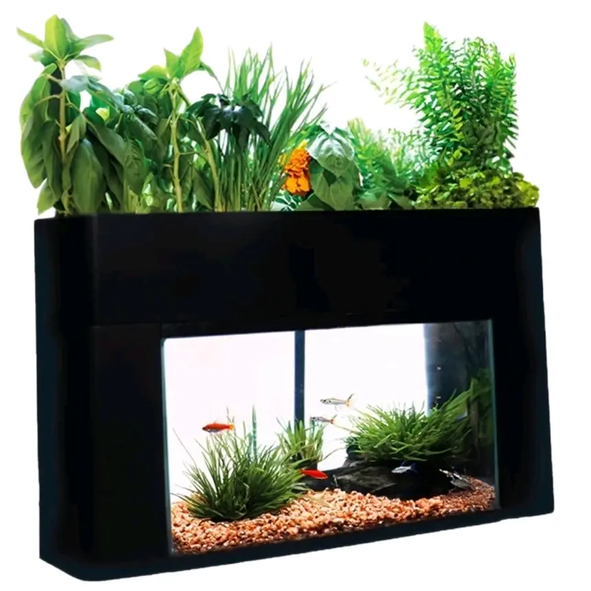 AquaSprouts Garden 10 Gallon system (aquaponics)